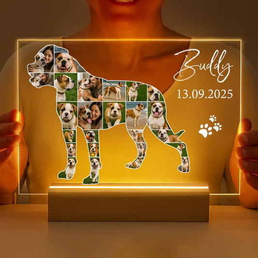 Personalisierte LED-Lampe aus Acrylglas "Mein Haustier #2"