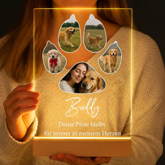 Personalisierte LED-Lampe aus Acrylglas "Mein Haustier #1"