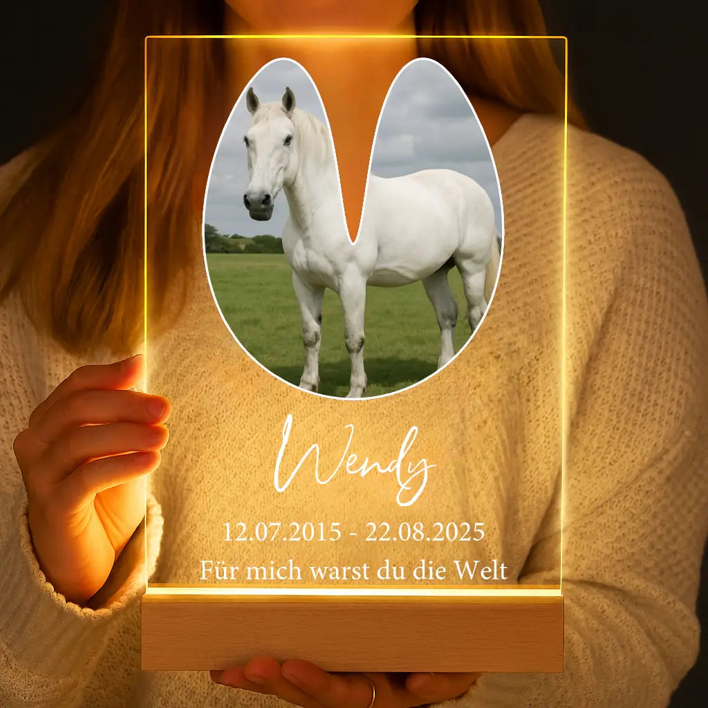 Personalisierte LED-Lampe aus Acrylglas "Mein Haustier #1"
